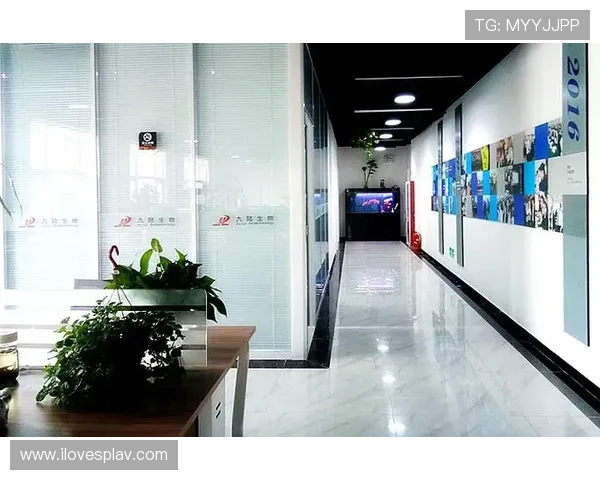 凯发娱乐旗舰厅官方地址官网入口全面解析，提供最权威的官方地址信息